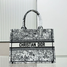 Dior Shopping Bags